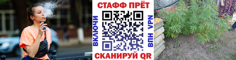 Виды наркотиков купить Новомосковск A PVP COCAIN ГАШИШ Марихуана