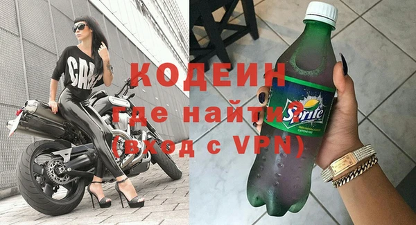 дживик Бородино