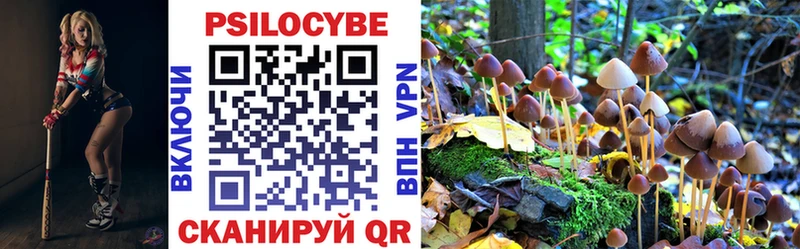 Псилоцибиновые грибы мицелий Новомосковск